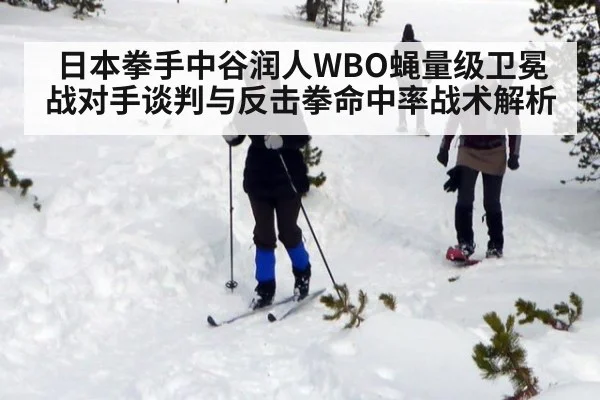 日本拳手中谷润人WBO蝇量级卫冕战对手谈判与反击拳命中率战术解析